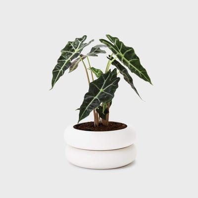 Stacking Planter - Short