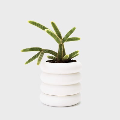 Stacking Planter - Tall