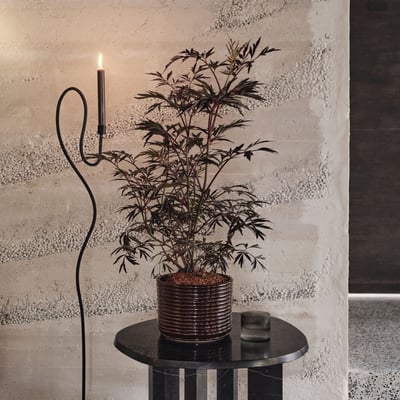 Corduroy Pot - Carob Brown (FRL-CB)