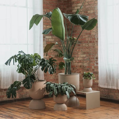 Hourglass Planter - Medium / Cashmere (FRL-CM)