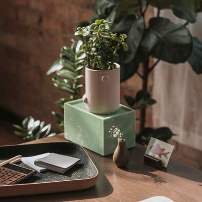 Mist Box - Small / Sea Foam (FRL-SF)