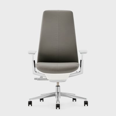 Fern Leather Outlet Chair - Brisa Ash (XG-22) / Aluminum / Polished Aluminum (PM-P)