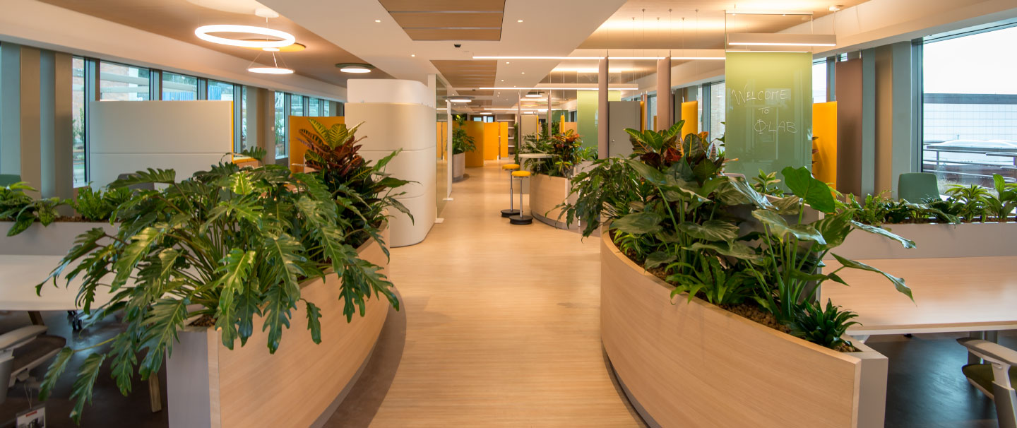 Corporate colours and biophilia at the ESA client office