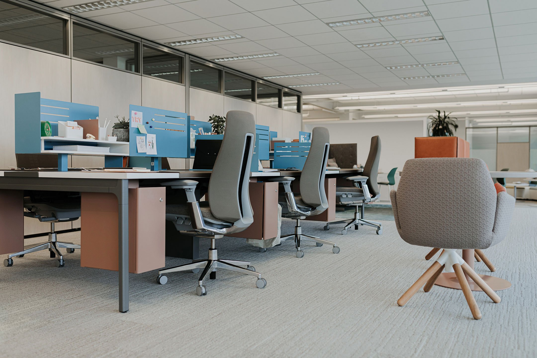 Haworth Intuity Workspace divider in light blue color separating multiple desks with fern chairs in open office setting