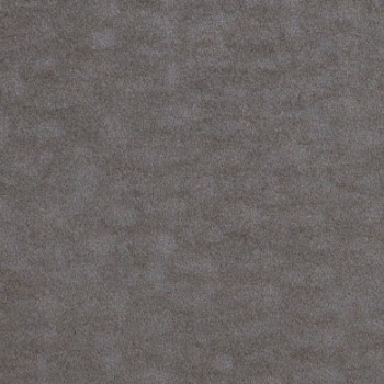 WINDSWEPT PEWTER (4795-60) Surface | Haworth