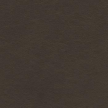 NATURE LEATHER (XE) Surface | Haworth